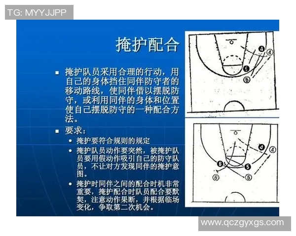 杭州排球队的转换打法深度分析与战术解读 杭州排球队的转换打法深度分析与战术解读